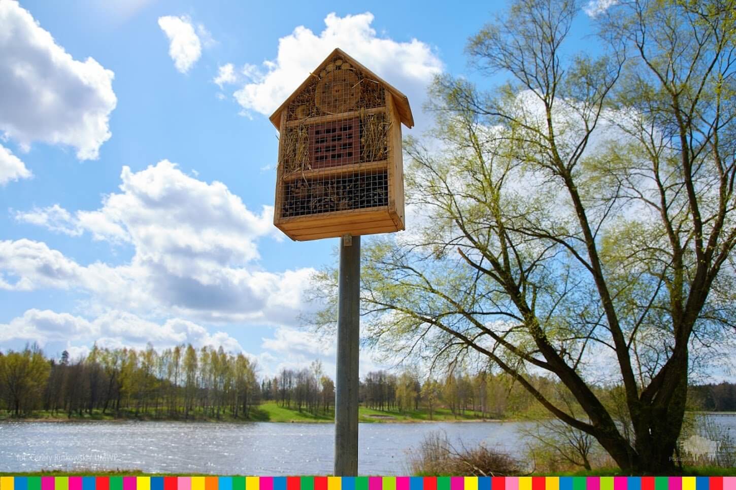 Domek dla owadów / Wooden shelter for insects