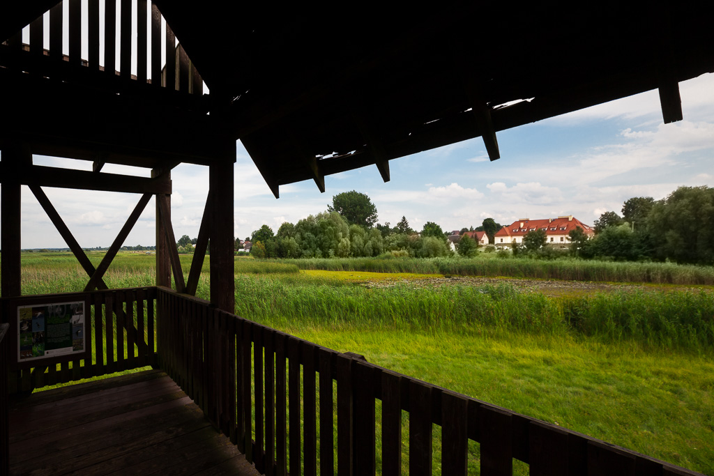 Widok na Rezydencję Ekonomiczną z wieży widokowej 