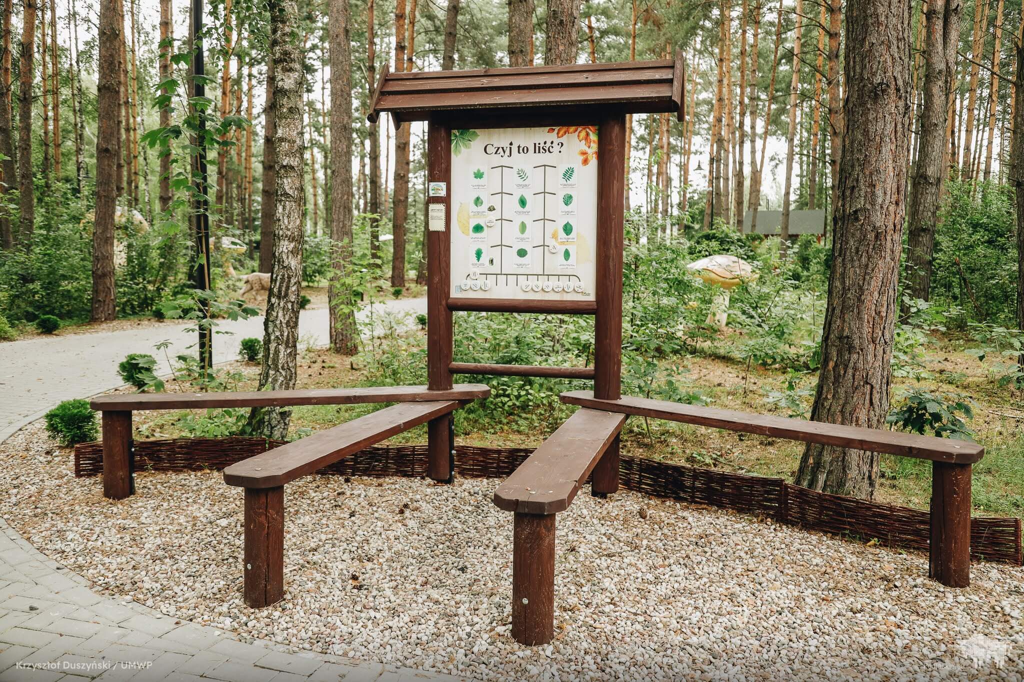 Ilustracja do artykułu 6.jpg