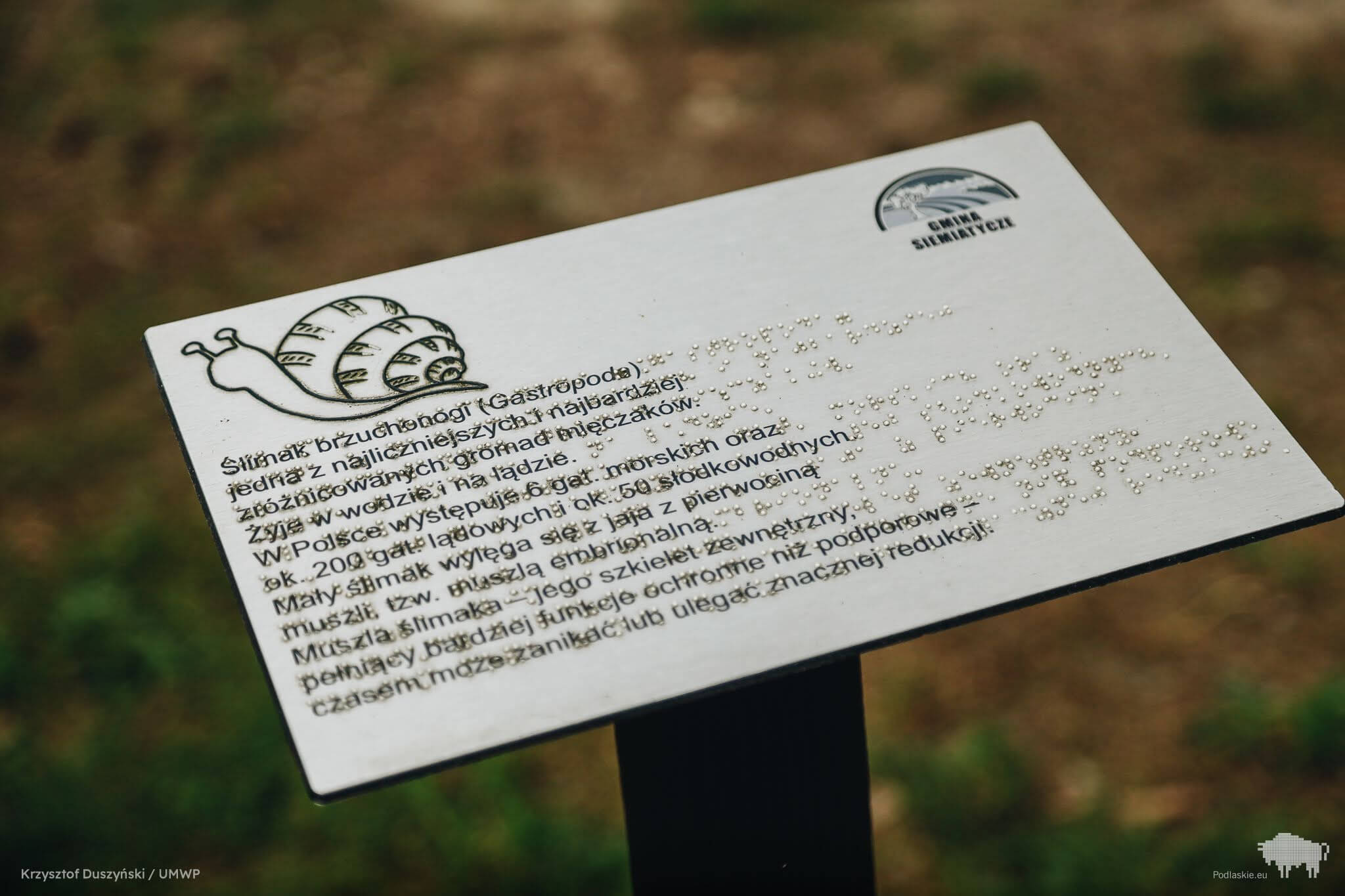Ilustracja do artykułu 17.jpg