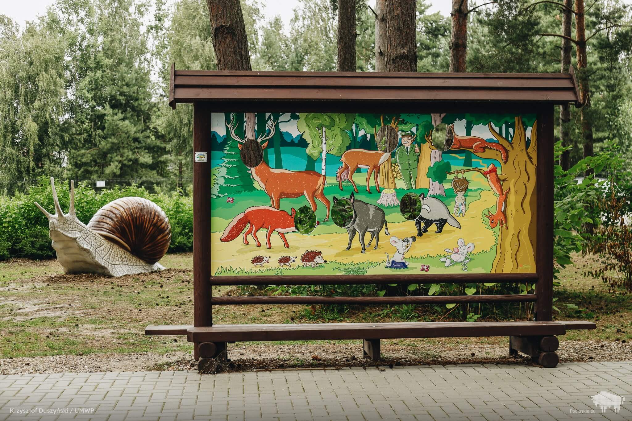 Ilustracja do artykułu 25.jpg